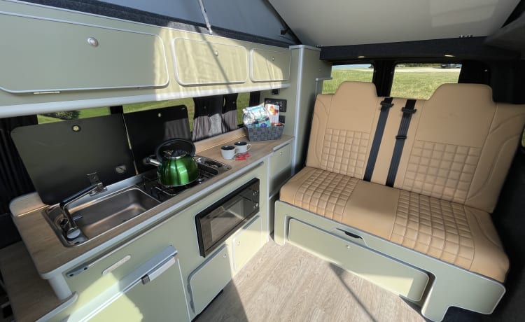 Mitch  – Splendida conversione VW T6 Camper King. 4 posti letto, 5 posti a sedere e fa girare la testa!