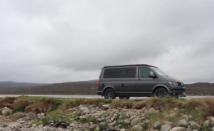 Nelly – 2017 VW T6 Camper mit 4 Schlafplätzen