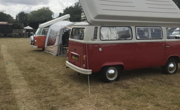 Roses – Vintage Devon 4 Schlafplätze Volkswagen Camper 1981 - Entspannender Camping-Klassiker