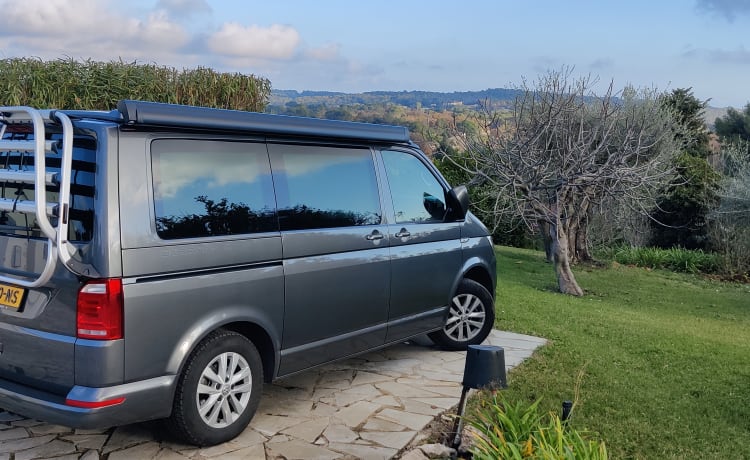 Déesse – VWCalifornia Ocean