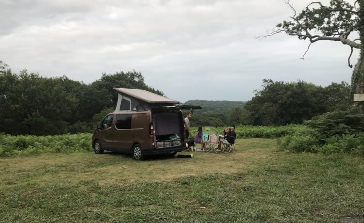 poup – Van familial Renault trafic kilométrages illimités