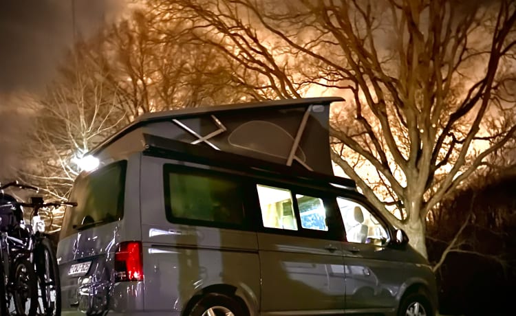 van 4 motion – ! CHRISTMAS PROMOTION: 6 NIGHTS + 1 NIGHT FREE. VW CALIFORNIA OCEAN NEW 2023