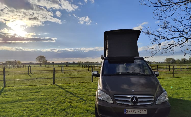 4p Mercedes-Benz Wohnmobil aus dem Jahr 2012