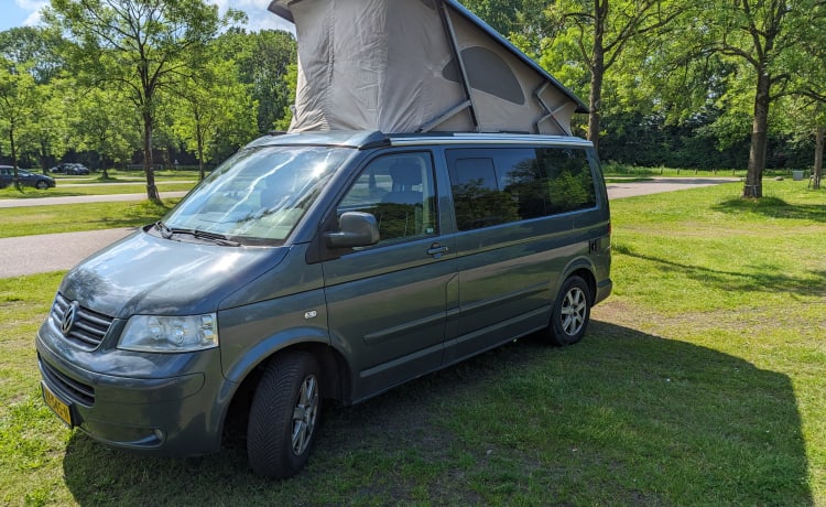 Arvie – VW California compacte Buscamper | 4p | popup-dak + evt bijzettent