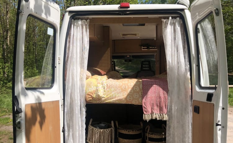 Camping-car Fiat 3P