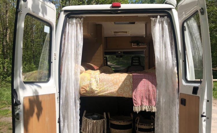 Camper 3P Fiat