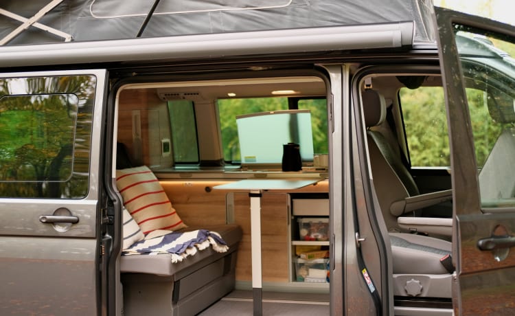 Desmond – VW California coast campervan (6.1) 2022