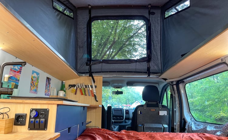 Ollie – 2p Renault bus uit 2015