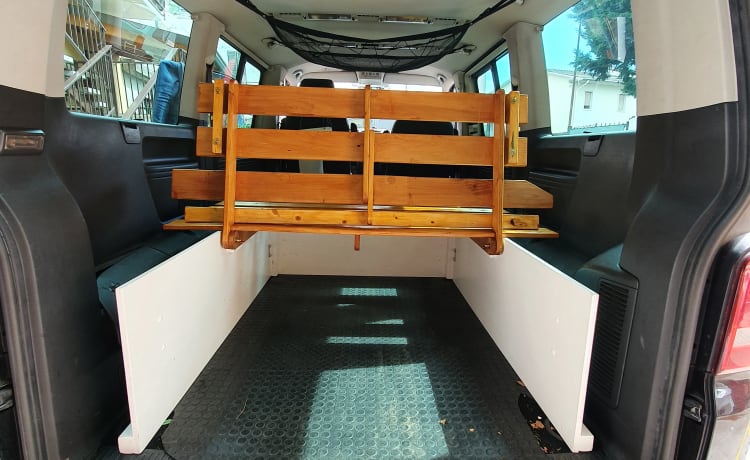 Pippo84 – VW Caravelle voor uw reis