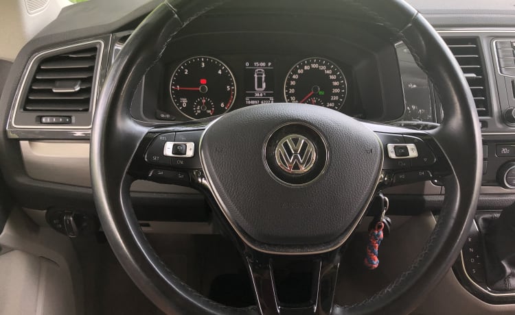 Lusso 4WD VW California (2019)