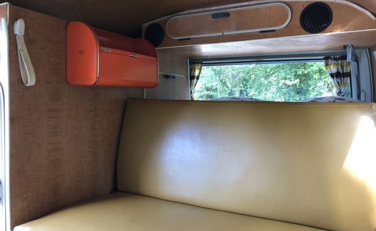 De Bus – T1 Volkswagen bus uit 1965