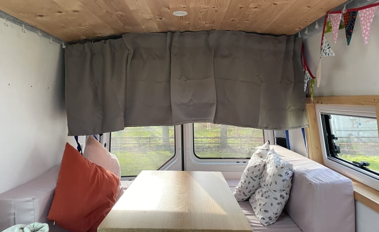 Vanneke – Veelzijdige camperbus met groot bed