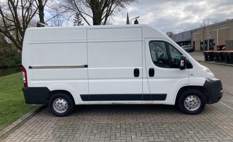 Fiat Camper uit 2013