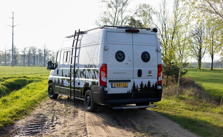 3p Fiat campervan uit 2018