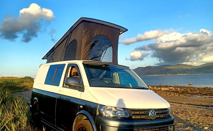 Vana the van – Bus Volkswagen 4 couchettes de 2015 parfait pour explorer le magnifique nord du Pays de Galles