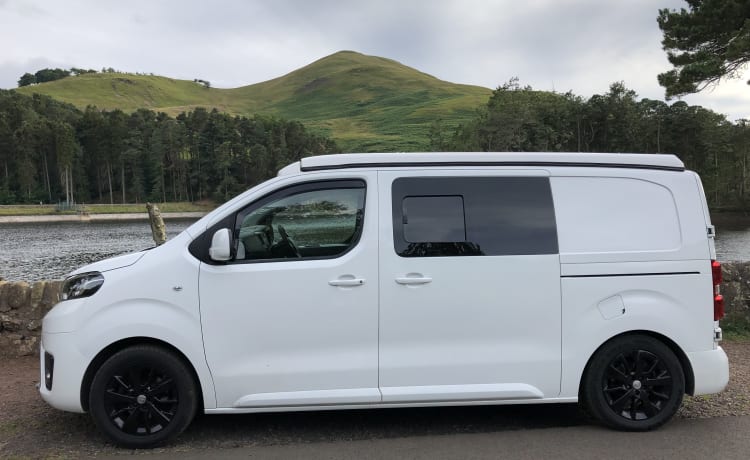 Lionel – Immaculate 4 berth Toyota van from 2017 - single and ready to mingle!