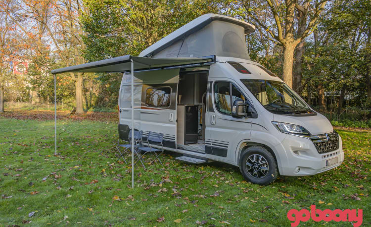 Den Burt – Brandneuer Burstner Bus Camper für 4 Personen