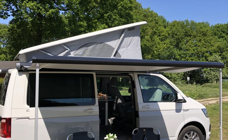 Volkswagen T6 California Ocean Campervan from 2018