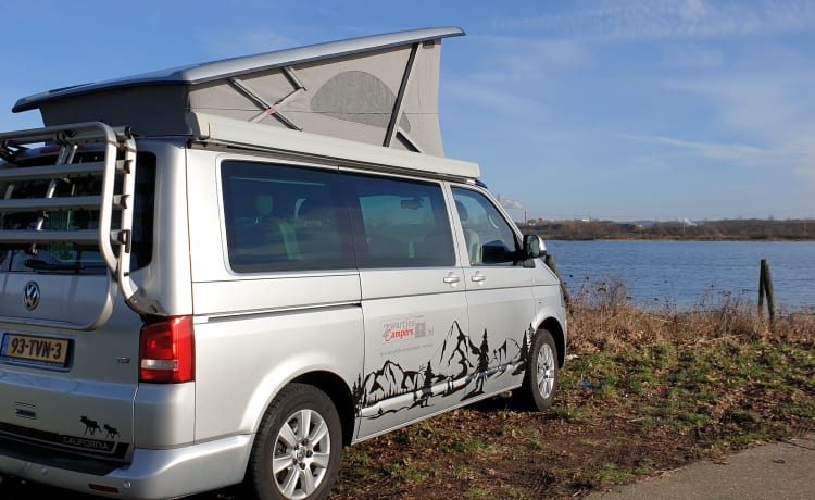 Zilver – Volkswagen T5 automatic California Bus camper with sleeping roof.