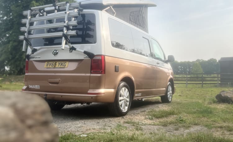 Snug Dub – 4 berth Volkswagen campervan from 2015