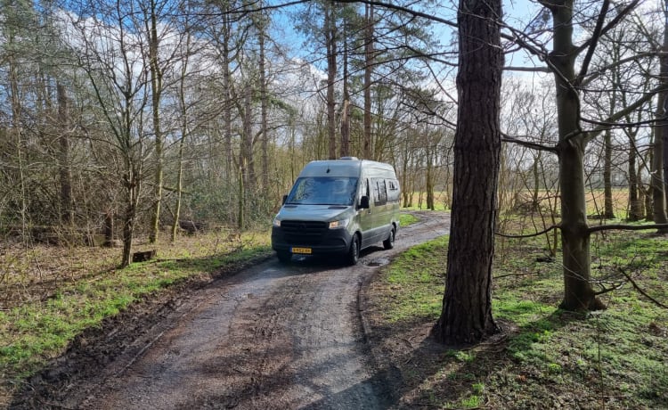 4p Mercedes-Benz Sprinter 2019