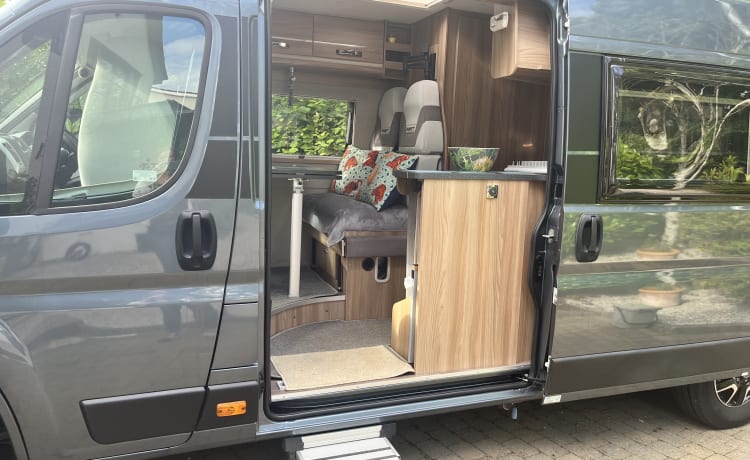 Bumble  – 4 berth Swift Select 184