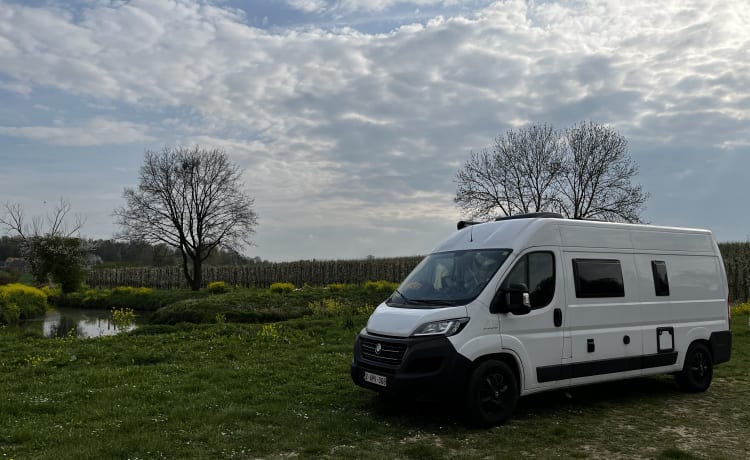 Van_twerp – Fiat Chausson V594