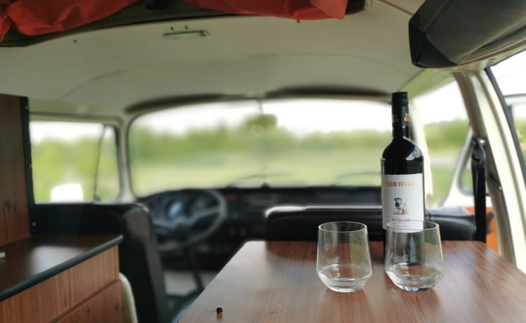 Maxima – Un momento indietro nel tempo con una Volkswagen T2 - Completamente restaurato!