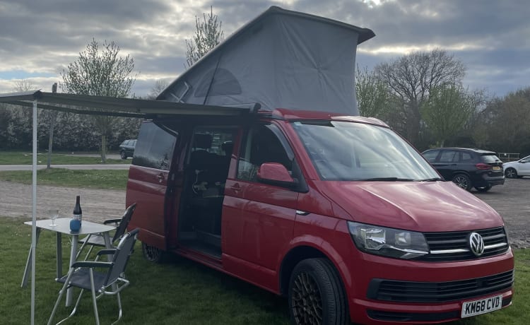 Milo – VW California Beach