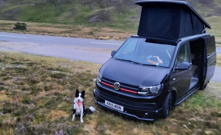 Maisie – Camping-car VW élégant, 4 couchettes, acceptant les animaux de compagnie, automatique