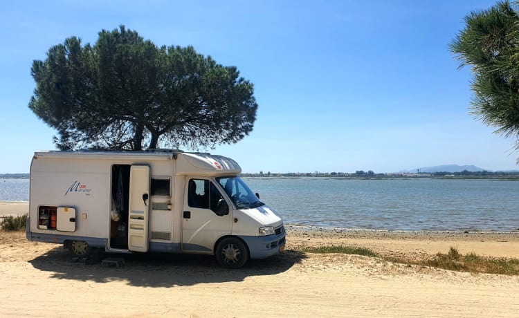 Camping-car familial compact. Hors réseau. Lit bébé et porte-vélo en option.