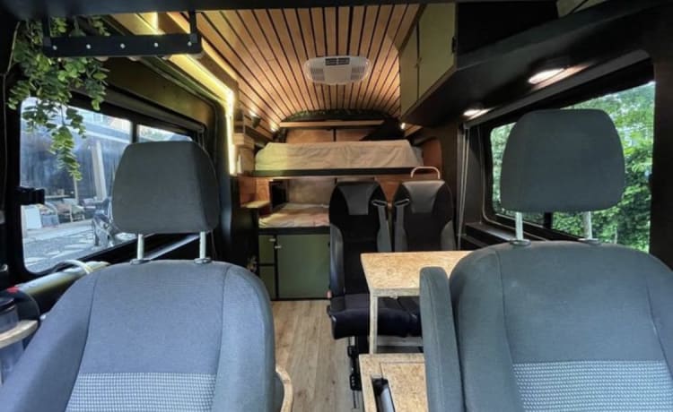 Bruce – Tough 4p bus camper for great adventures