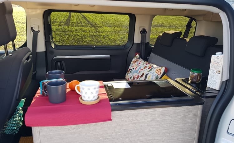 Der Campster – great bus with 4 beds or 5 seats - everything you need ;-)!