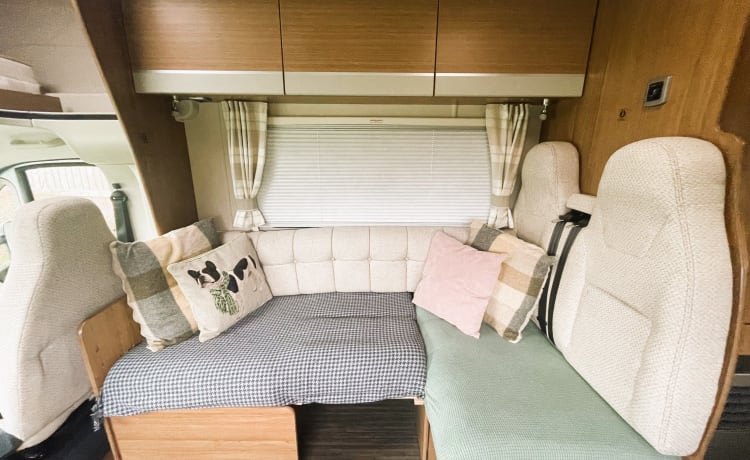 4-persoons Autotrail Tribute, luxe hondvriendelijke camper - Northants/Beds 