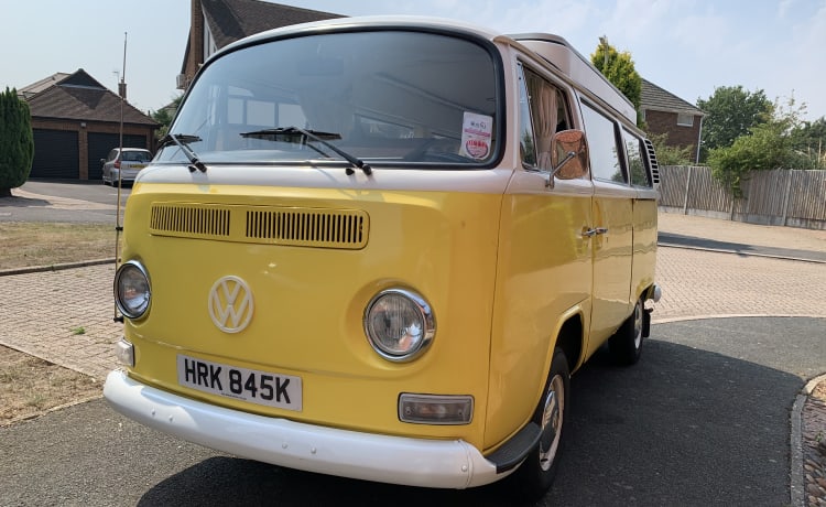 Daffy – Klassischer VW Typ 2 Campervan