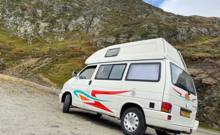 Volkwagen T4 California Hoogdak - Zelanda