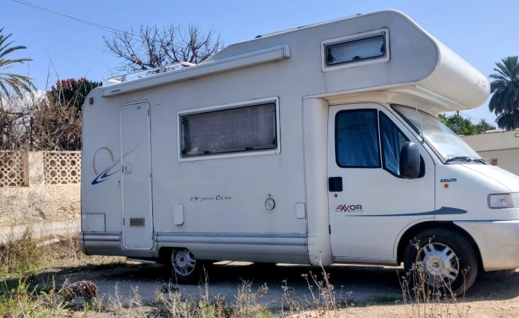 Location camping car 6 personnes.World cup rugby Toulouse, Bordeaux 