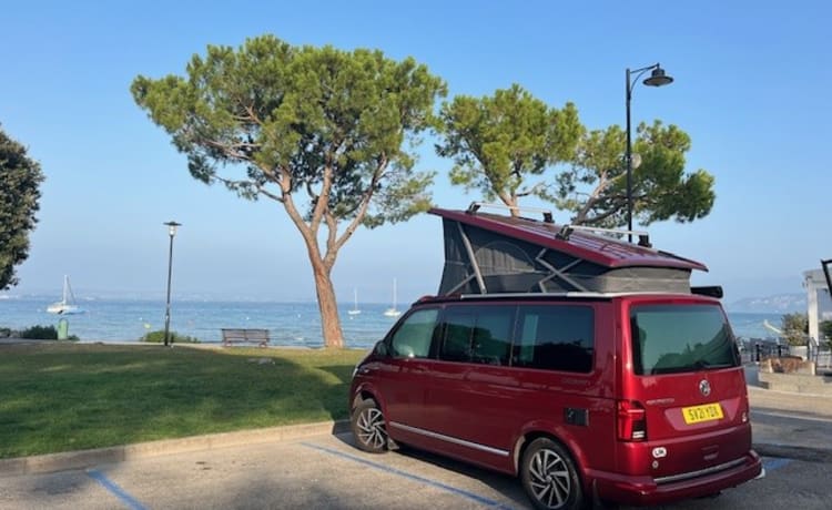 Strawberry – Nieuwe VW California Ocean T6.1 DSG 2.0 TDI Automaat met rijhulp