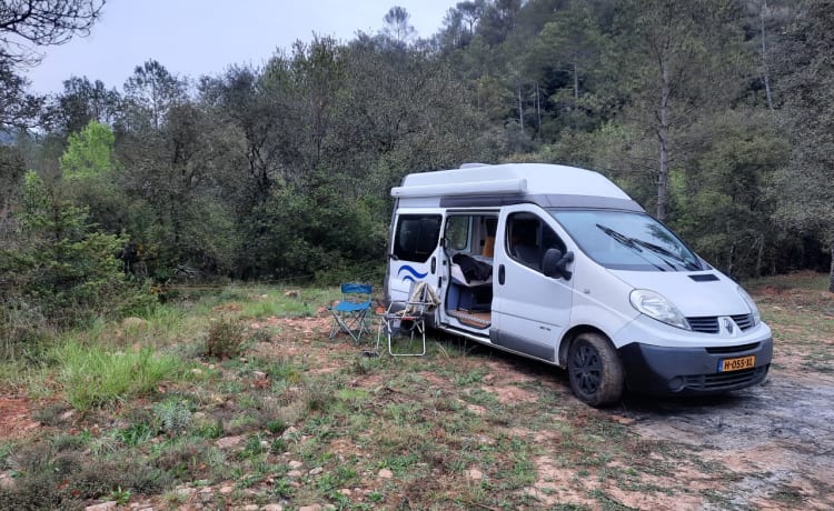 Compact bus camper with access to any city (Euro 5)