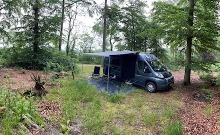 🚐 Bus Camper jeune et spacieux très complet 🚐