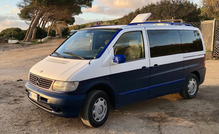 Dani – Bestelwagen Mercedes Vito 220cdi