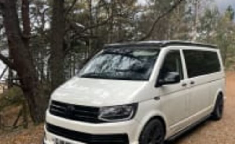 Transporter Explorer – Volkswagen T6 campervan 