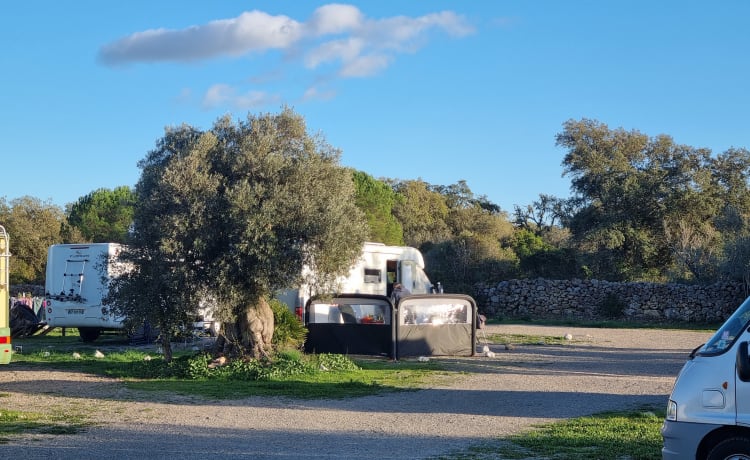 4 berth Bailey bus from 2015