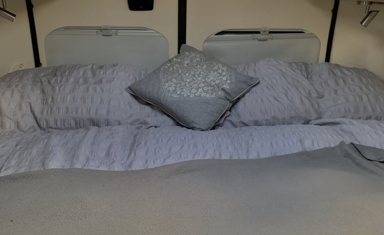 Our van  – 2 Posti letto adria Camper Sunliving . Chilometraggio molto basso