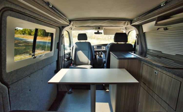 Colin – 2022 VW T6.1 camper. 4 Slaapplaats. Honden toegestaan