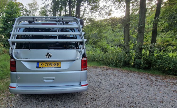 Zilveren Zwerver – Camping-car Volkswagen (2018) - automatique 