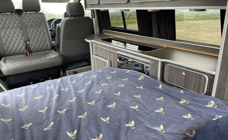 Wallis  – High Spec VW T6 CamperKing Conversion.  Sleeps 4 & Seats 5