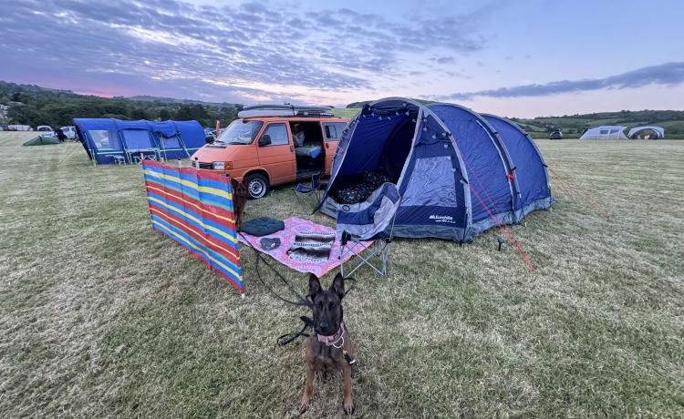 Orange Beast – 2 berth Volkswagen bus from 1996