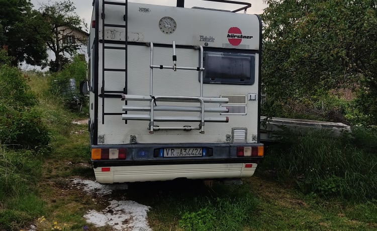 Alex – Alkoof op ducato 2500 aangezogen diesel