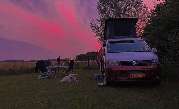 Guus (dan denk je aan brabant) – Red and white Volkswagen T5